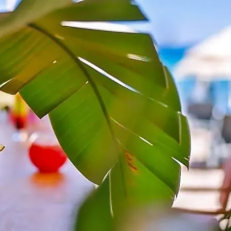 Mare Garden Hotel Turgutreis