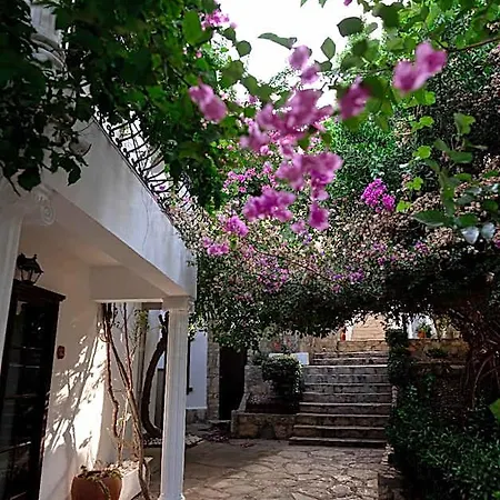 Mare Garden 4*
