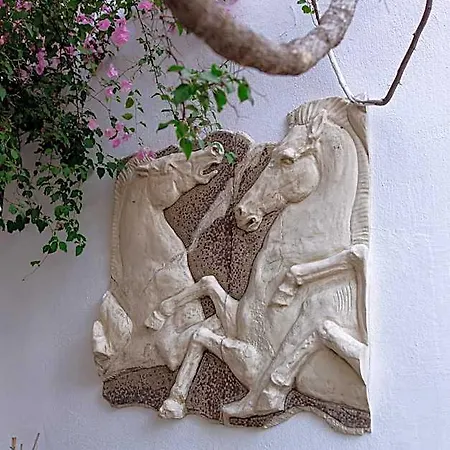 Mare Garden 터그트레이스